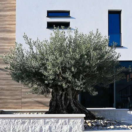 Apartmani Vito Lejlighed Biograd Na Moru